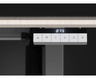 ENDORFY Atlas L Electric Light Wood EY8E005 - 1482594 - zdjęcie 8